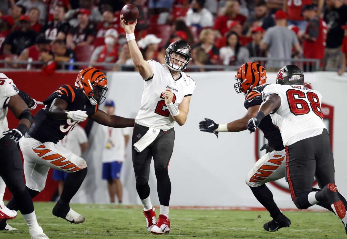 An InDepth Look at the Bengals' Offensive and Defensive Lines Sports