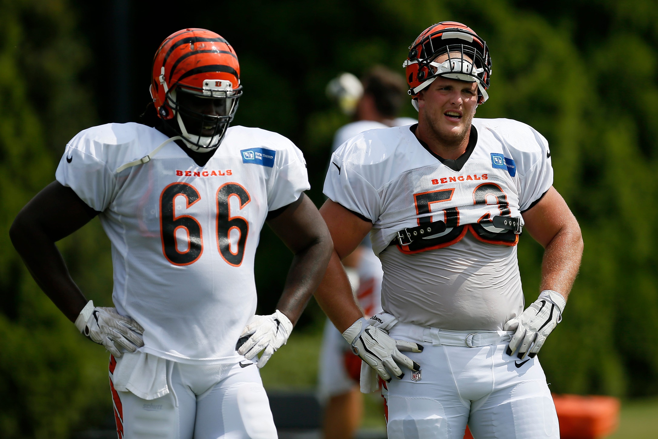 Cincinnati Bengals wide receiver Auden Tate (19) runs downfield