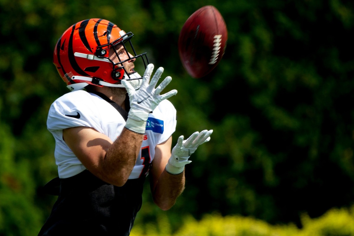 AllBengals Insiders+ - Sports Illustrated Cincinnati Bengals News, Analysis  and More