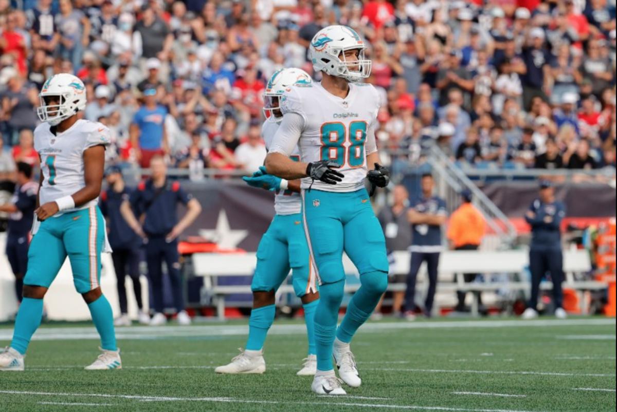 Mike Gesicki makes an appearance for the Miami Dolphins