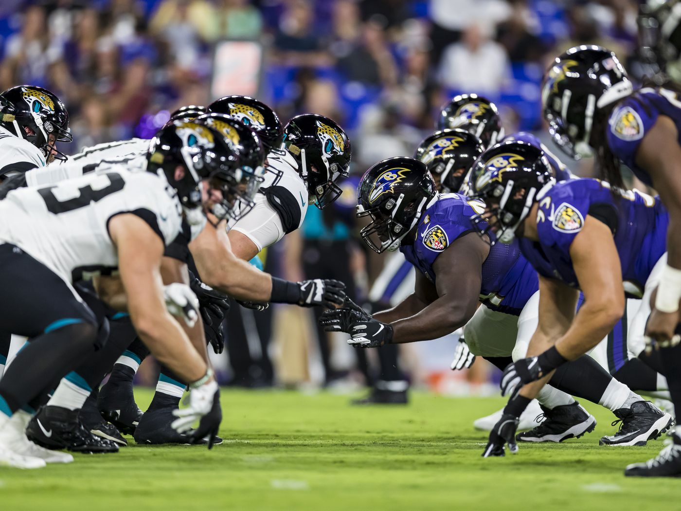 Ravens — Jaguars Week 12 Predictions Sports Illustrated Baltimore