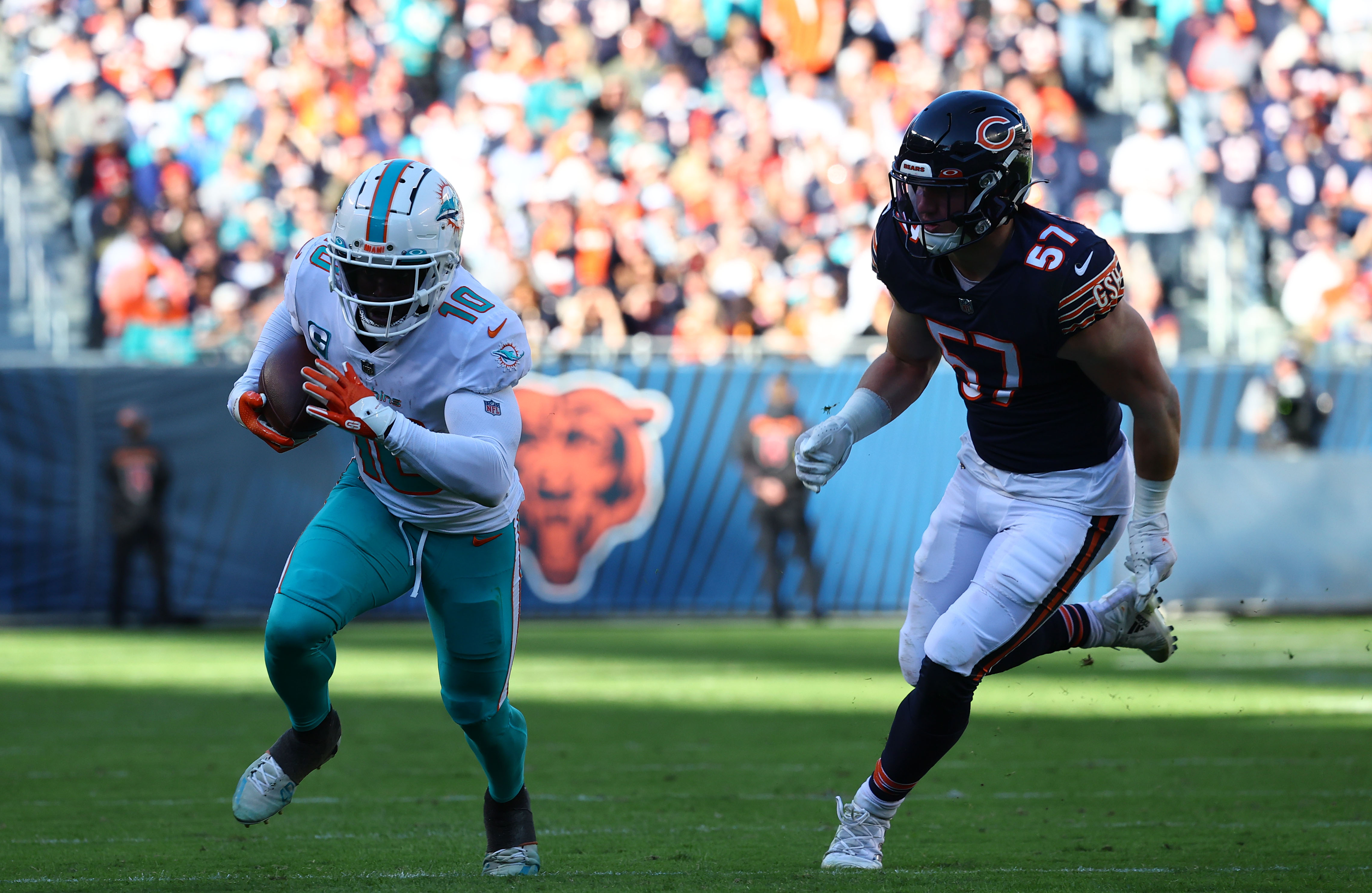 Tough Break: Bears' Jack Sanborn Out for Season With Ankle Injury - On Tap  Sports Net