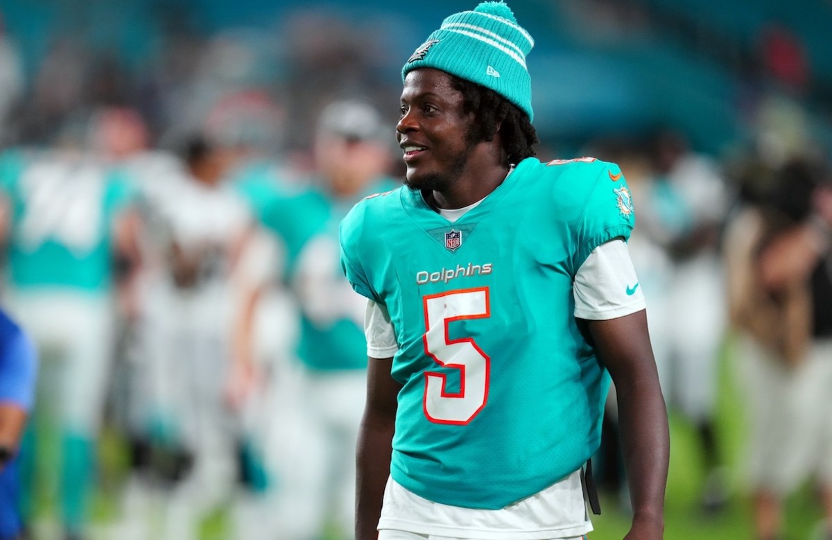 Pittsburgh Steelers Playoff Hopes Continue to Rise as Miami Dolphins Turn  to Teddy Bridgewater - Sports Illustrated Pittsburgh Steelers News,  Analysis and More