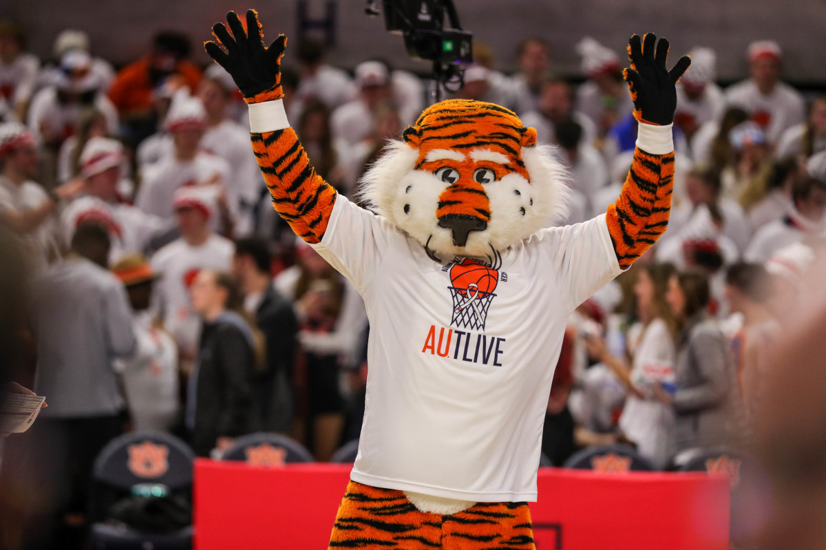 Aubie