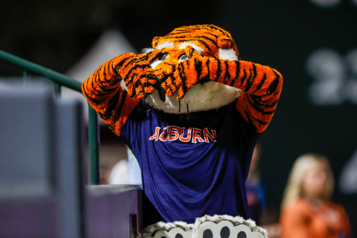 Aubie