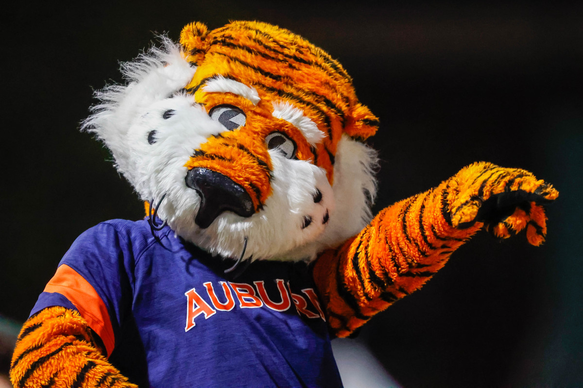 Aubie