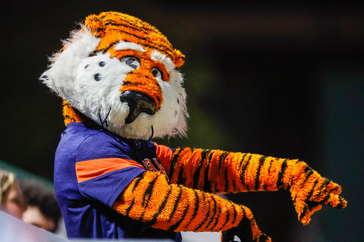 Aubie