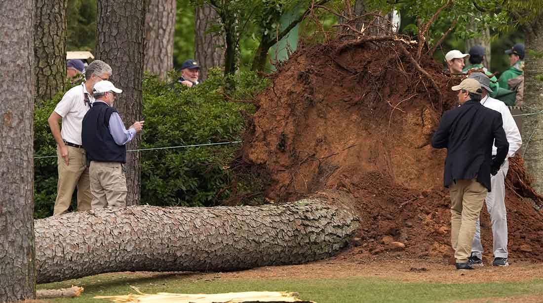 Masters leaderboard: Play suspended as huge tree falls to the