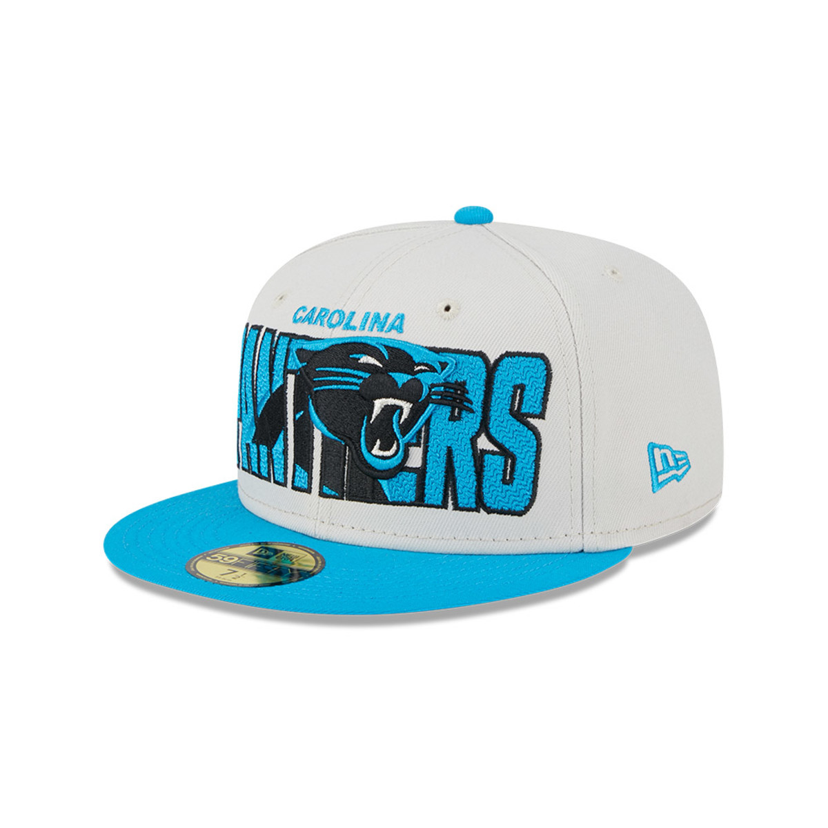 Carolina Panthers Hat 