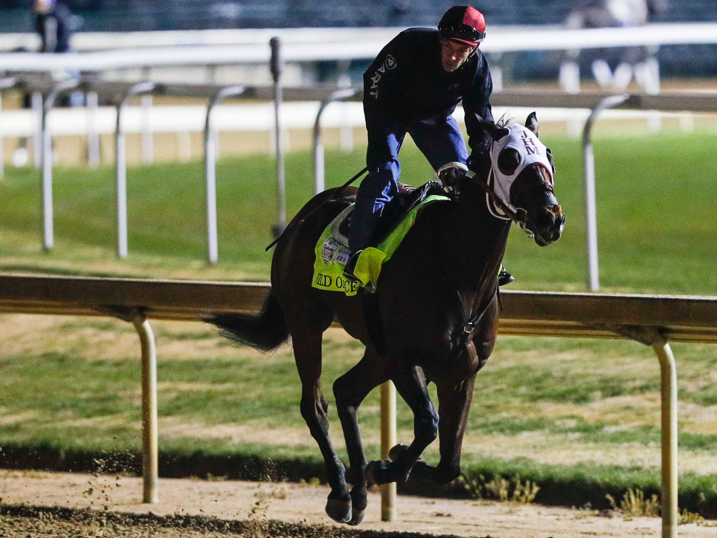 The Tragic Death of a Kentucky Derby Racehorse Feels Eerily Familiar