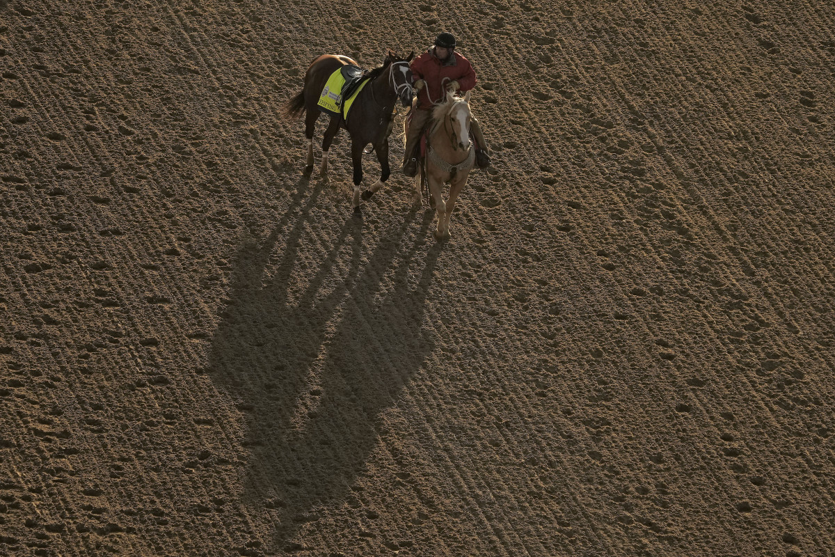 Kentucky Derby entrant Verifying is led by an outrider after he broke loose during a workout at Churchill Downs.