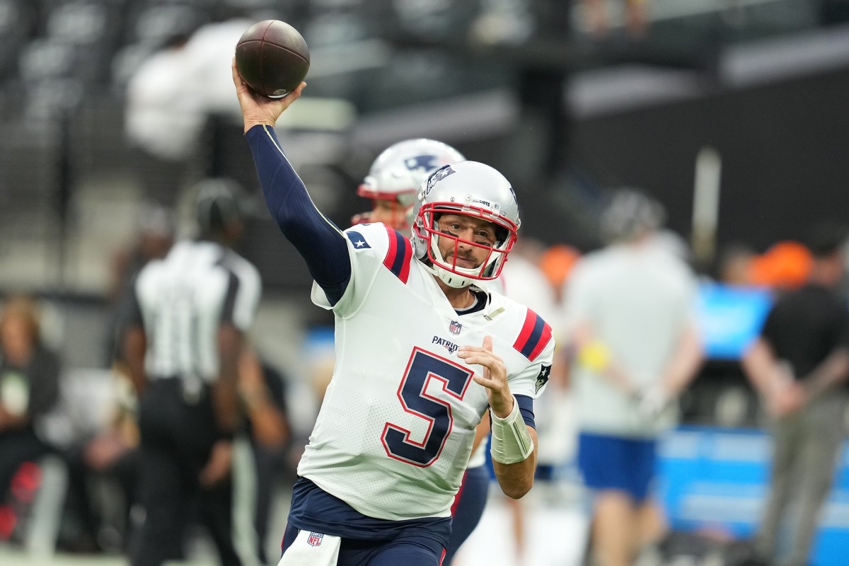 Bears To Sign Brian Hoyer