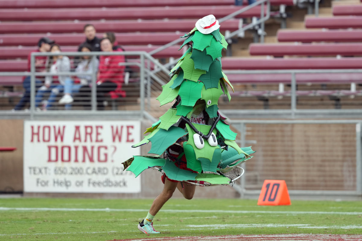 Nov 5, 2022; Stanford, California, USA; The Stanford Cardinal tree mascot performs on the field before the game against the Washington State Cougars at Stanford Stadium. Mandatory Credit: Darren Yamashita-USA TODAY Sports