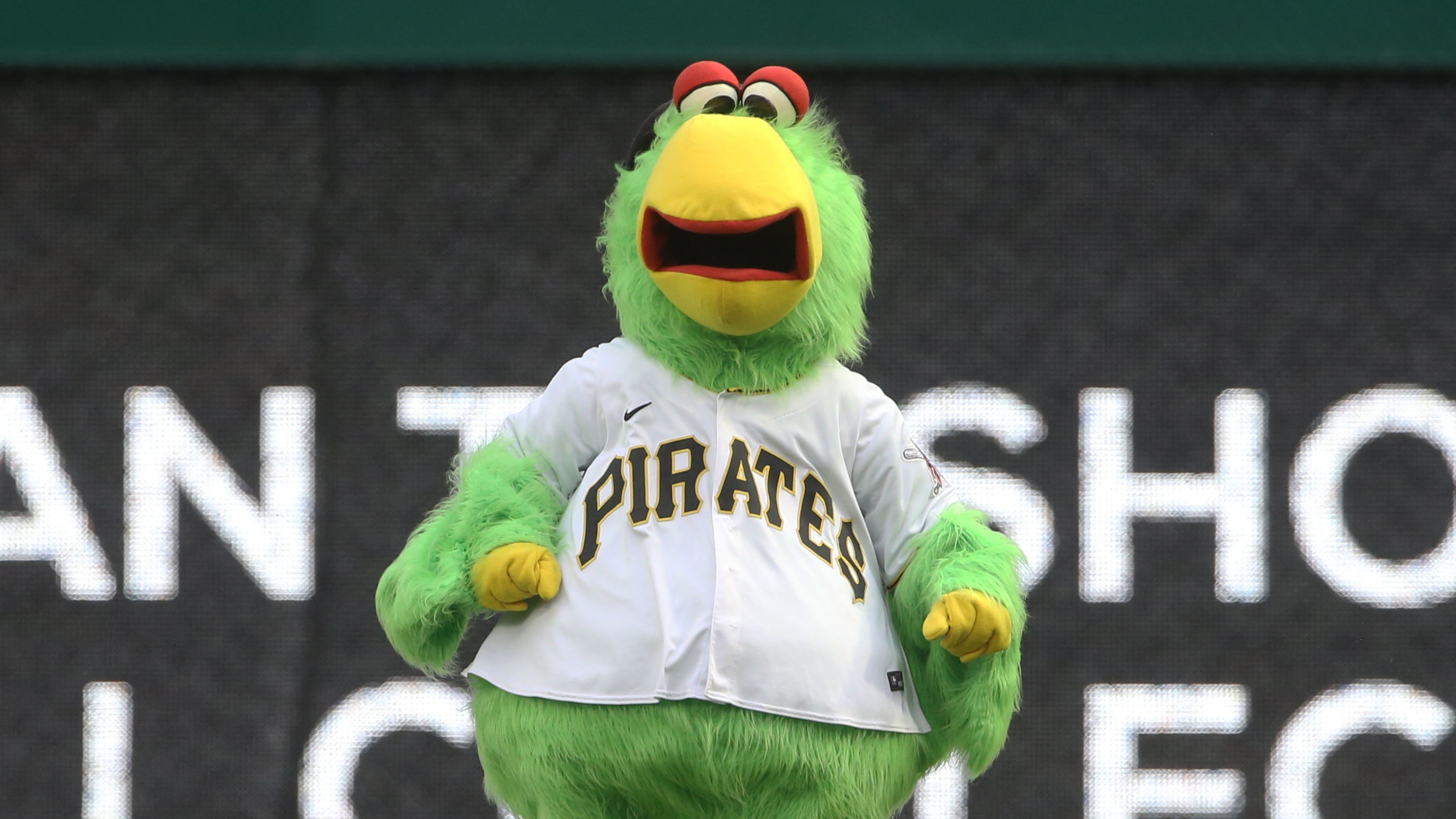 Pittsburgh Pirates Parrot Mascot