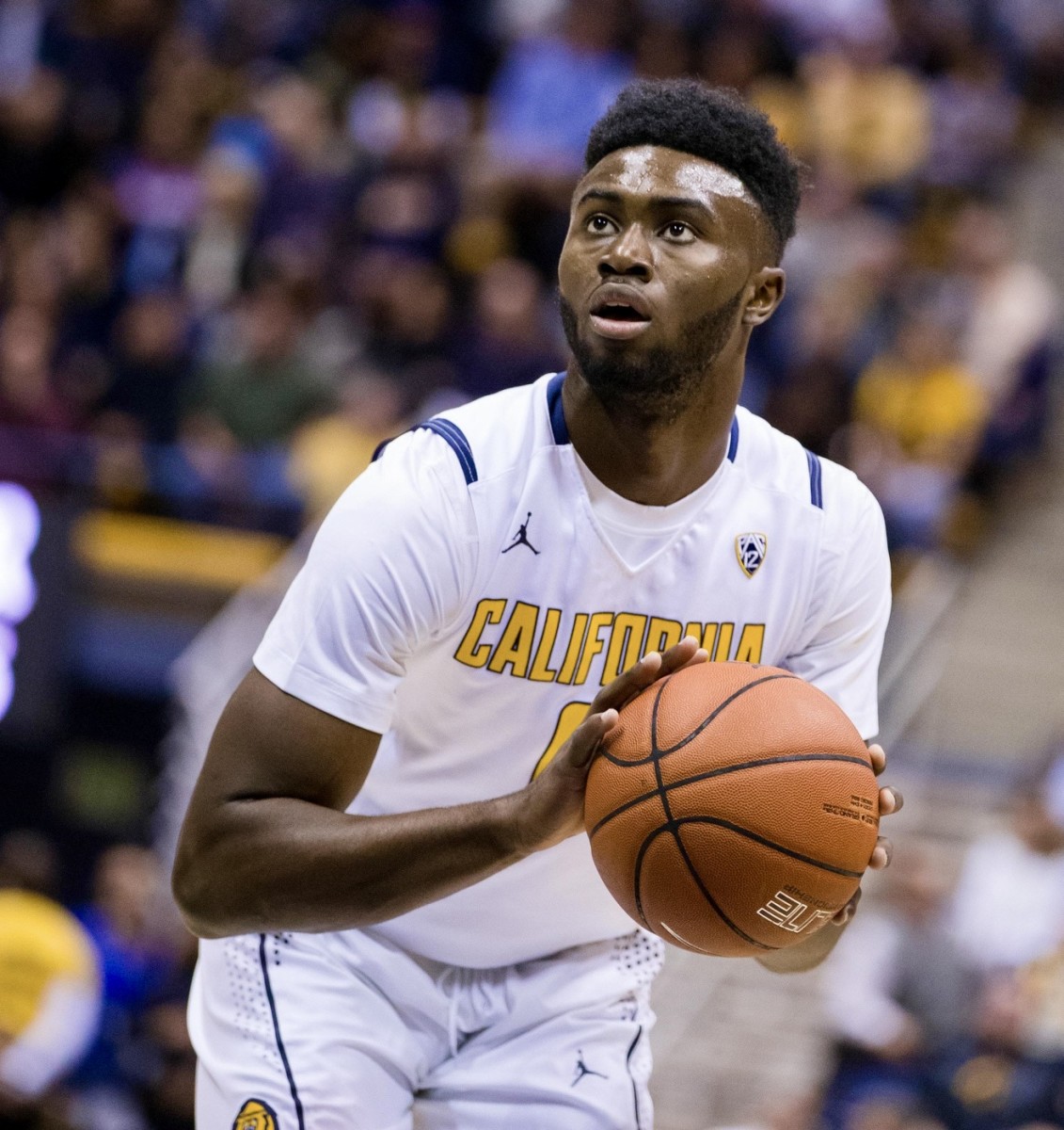 Jaylen Brown - Men's Basketball - California Golden Bears Athletics