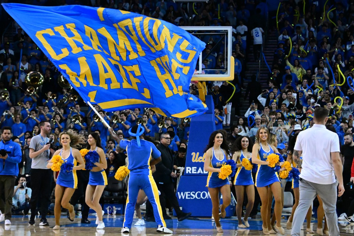 UCLA Bruins Bleacher Cushion