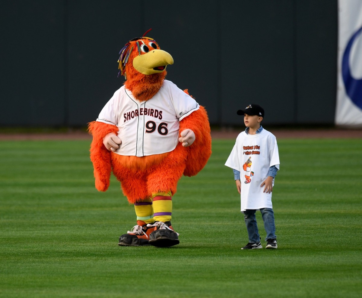 Shorebirds Sit Down: Jackson Holliday