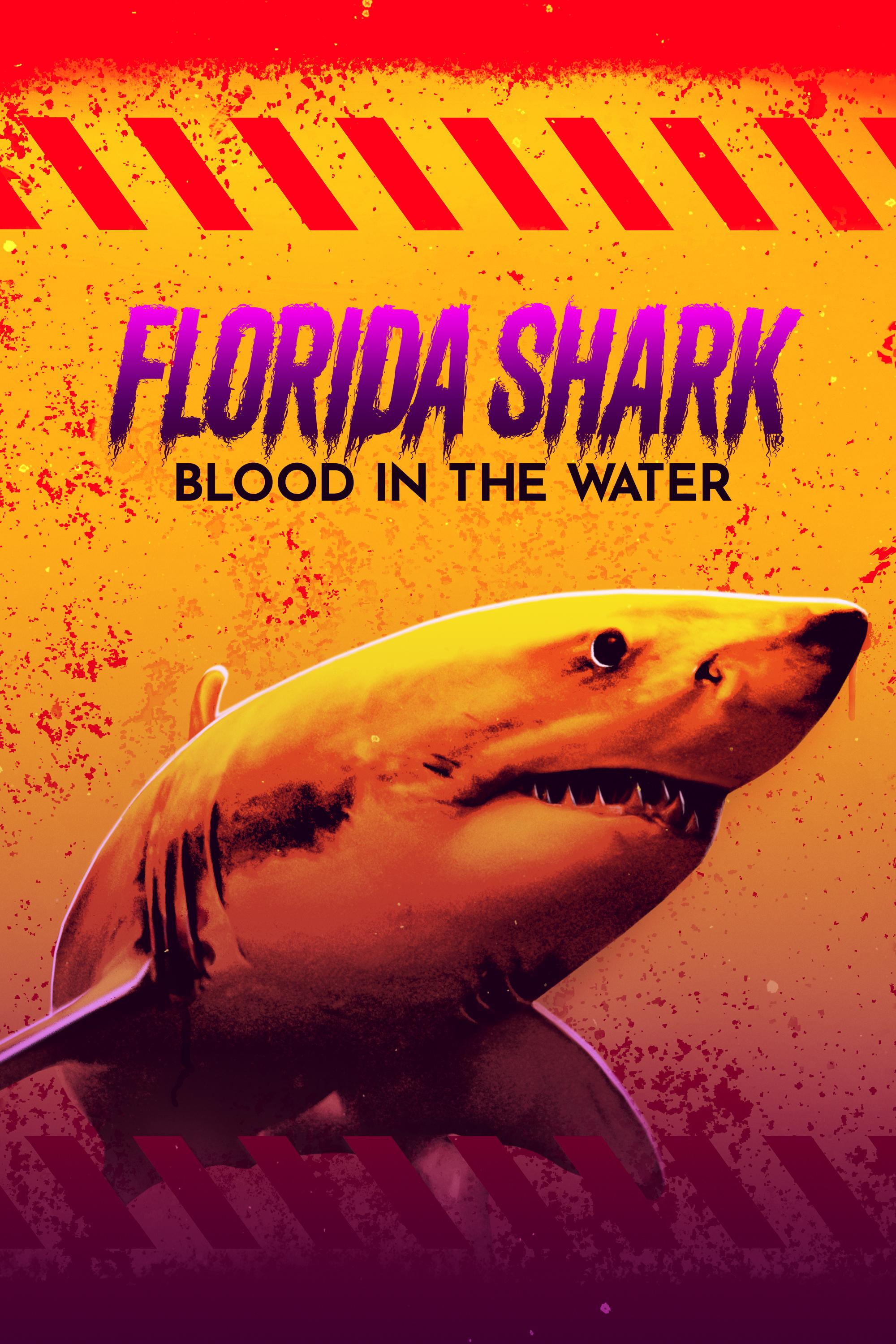 Watch Florida Shark: Blood in the Water: Stream live, TV - How to Watch ...