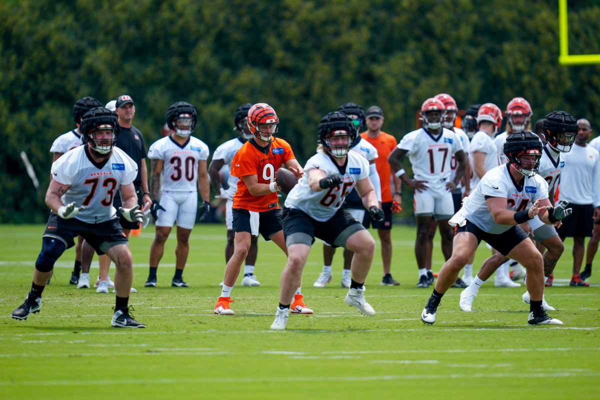 Bengals' star Joe Burrow shows off batting skills, hits bombs in Reds  practice