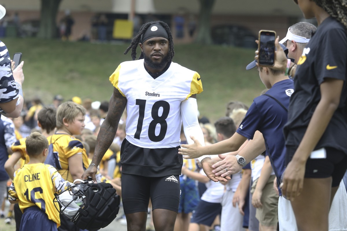 Diontae Johnson injury news: Steelers WR leaves Day 2 of training camp  practice on a cart - Behind the Steel Curtain