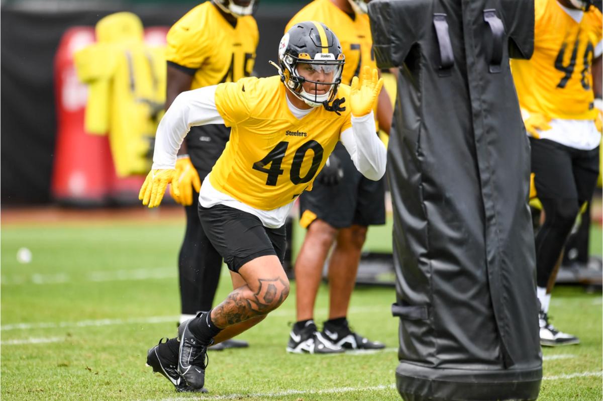 Pittsburgh Steelers linebacker David Perales (40) rushes the quarterback  during an NFL preseason football game against the Tampa Bay Buccaneers,  Friday, Aug. 11, 2023, in Tampa, Fla. (AP Photo/Peter Joneleit Stock Photo  - Alamy