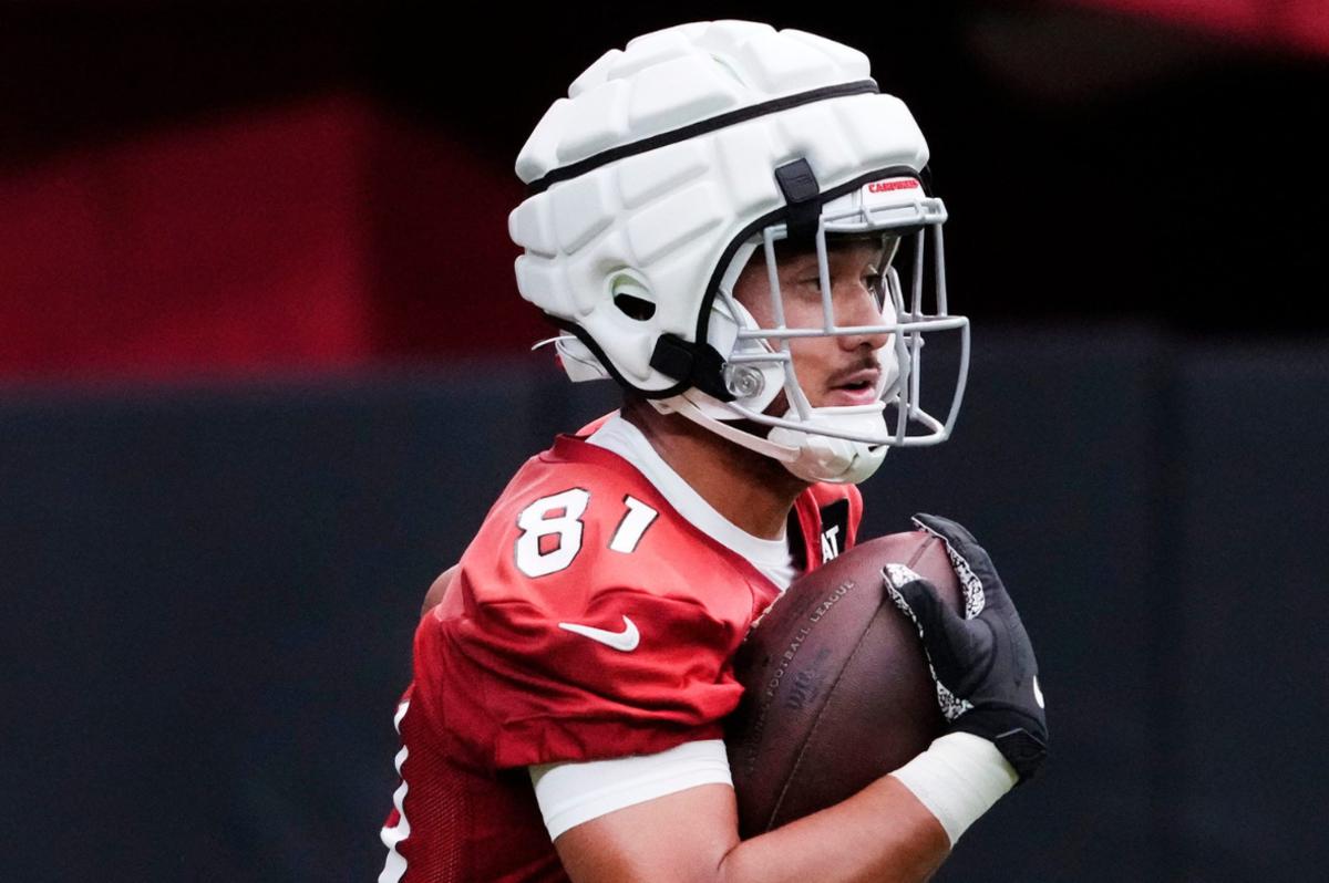 Cardinals Sign TE Noah Togiai 