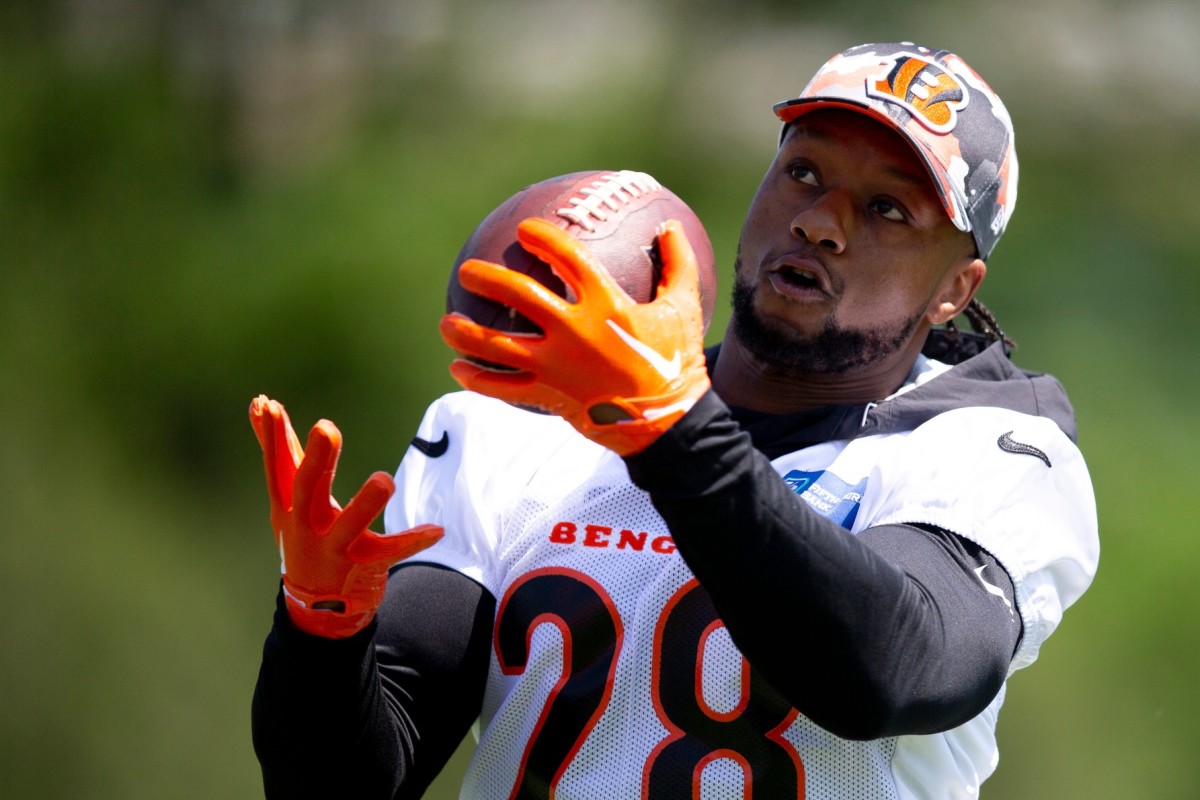 Bengals head coach Taylor on running back Mixon: 'His future is here with  the team'