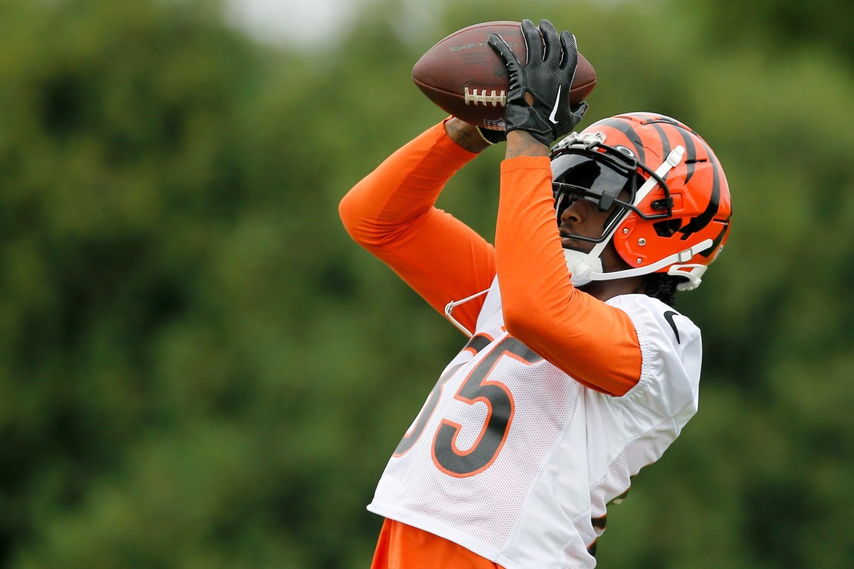 Cincinnati Bengals wide receiver Tee Higgins Looks Explosive in Offseason  Workouts - Sports Illustrated Cincinnati Bengals News, Analysis and More