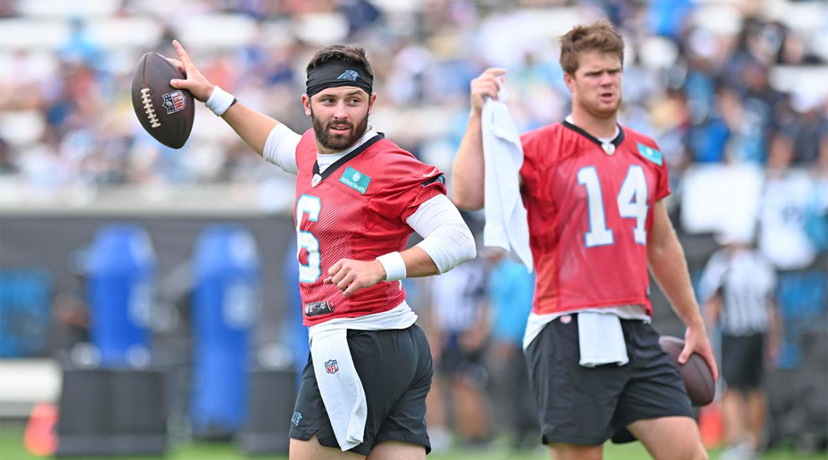 Could the Panthers be the most likeable NFL team in 30 years?, Carolina  Panthers
