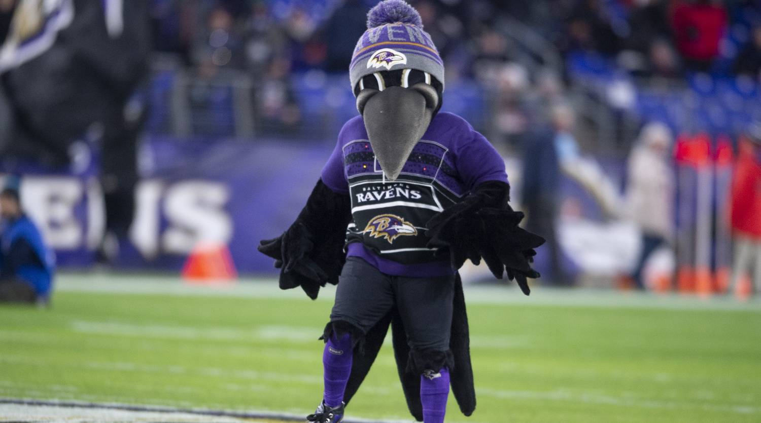 Ravens Mascot Poe Suffers Season-Ending Injury - Sports Illustrated
