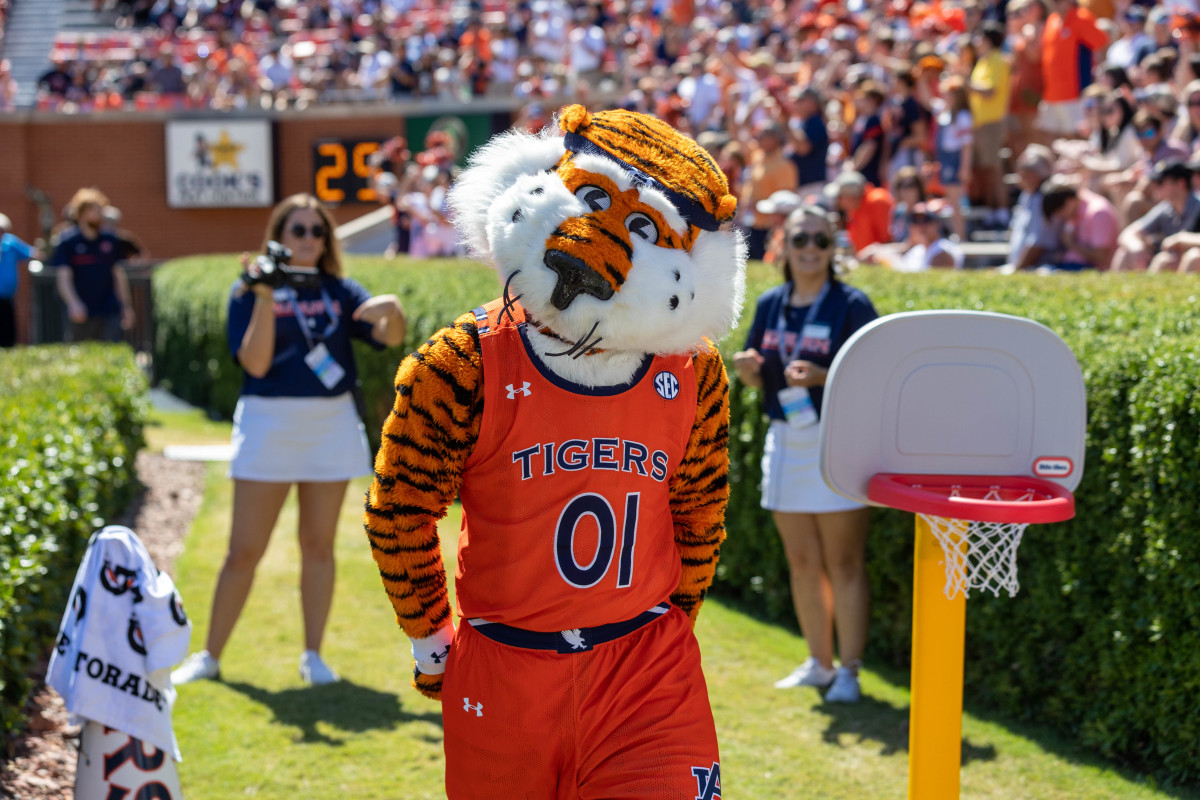 Aubie the Tiger vs Missouri.