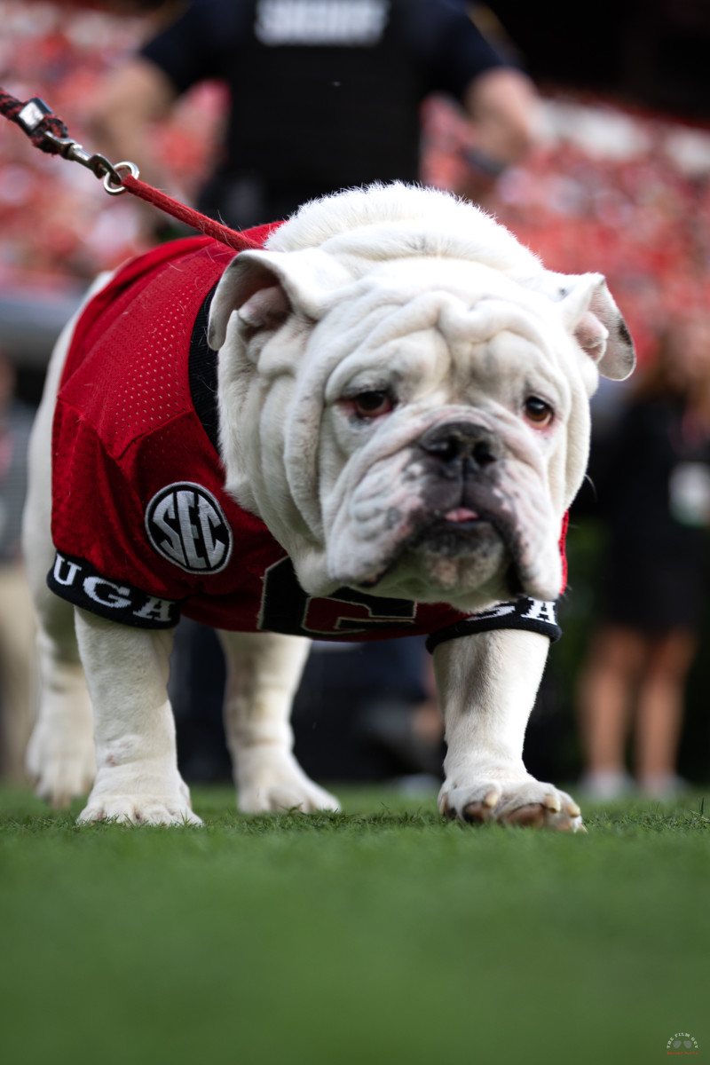 UGA