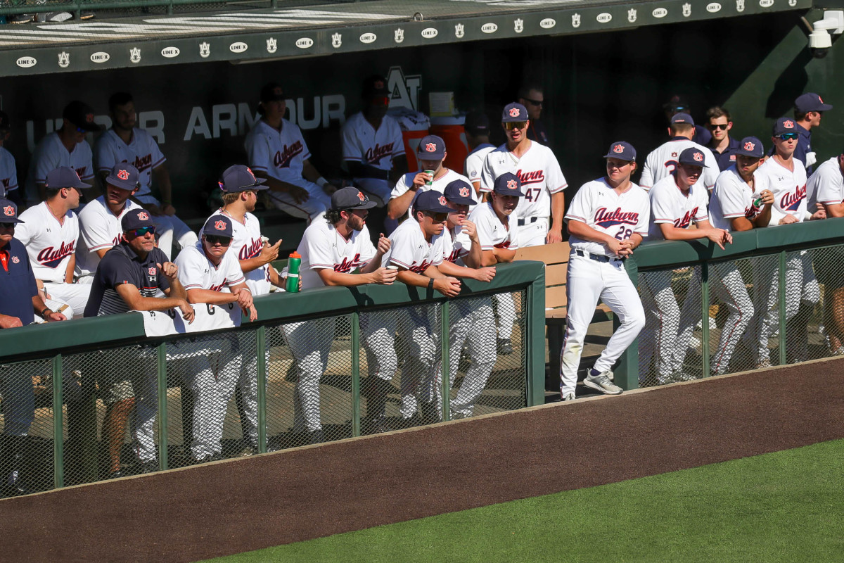 Auburn's dugout looks on as they take on Louisiana Tech in fall exhibition action