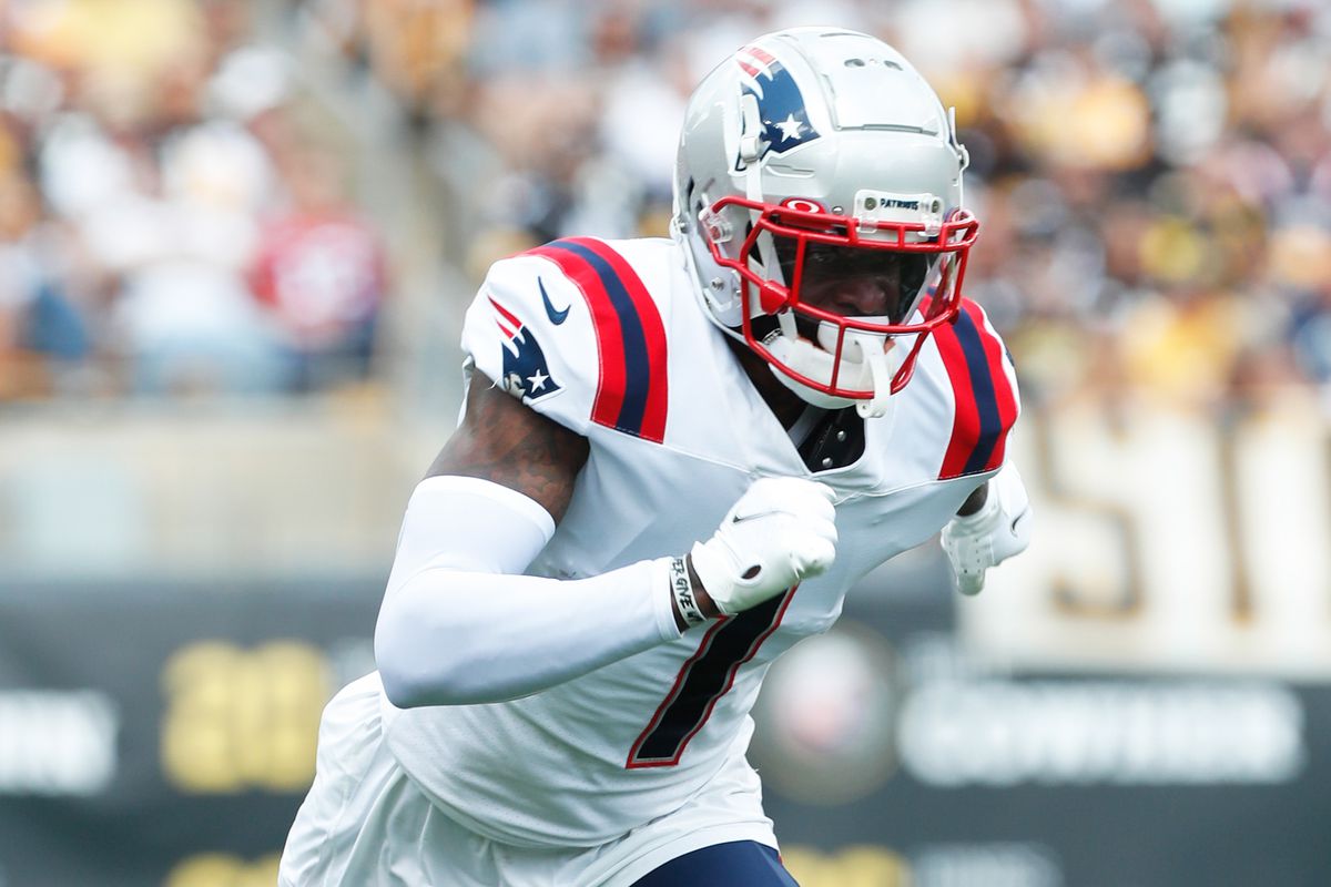 New England Patriots: DeVante Parker the 'vertical' threat MJ10 needs