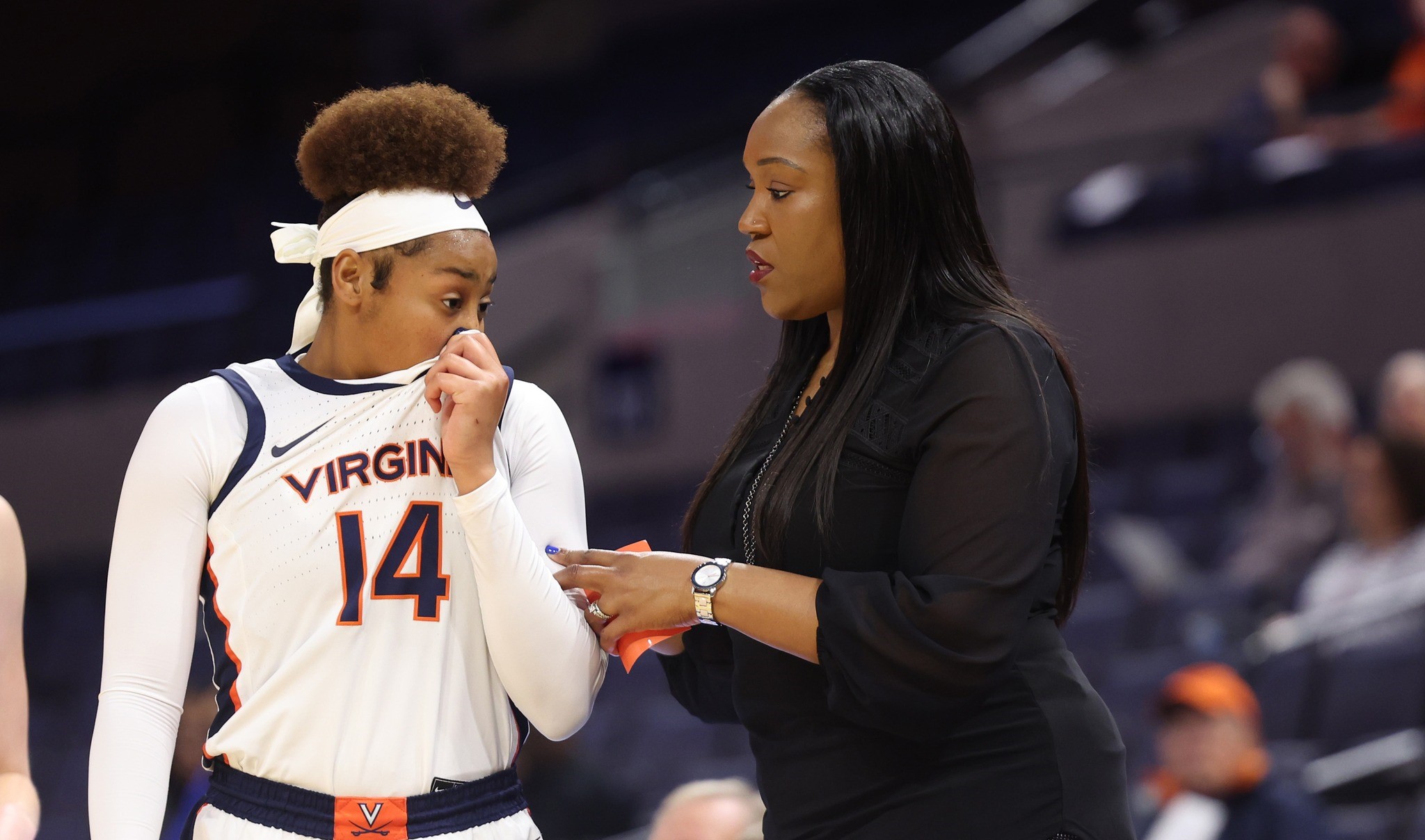 Wahoos Weekly: When And Where To Watch The Virginia Cavaliers This Week ...