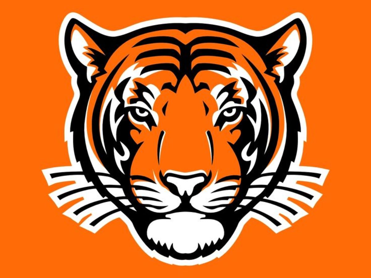 princeton minnesota tigers football logo