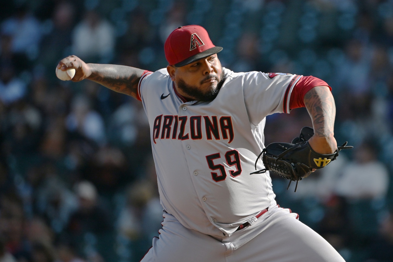 Arizona Diamondbacks 10-Inch Team Logo Glove