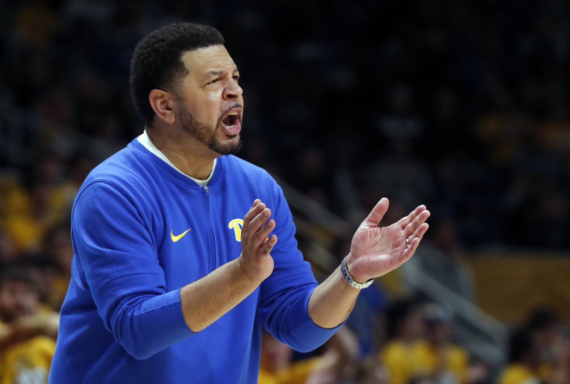 Pitt Panthers HC Jeff Capel Earns Career Milestone Sports Illustrated