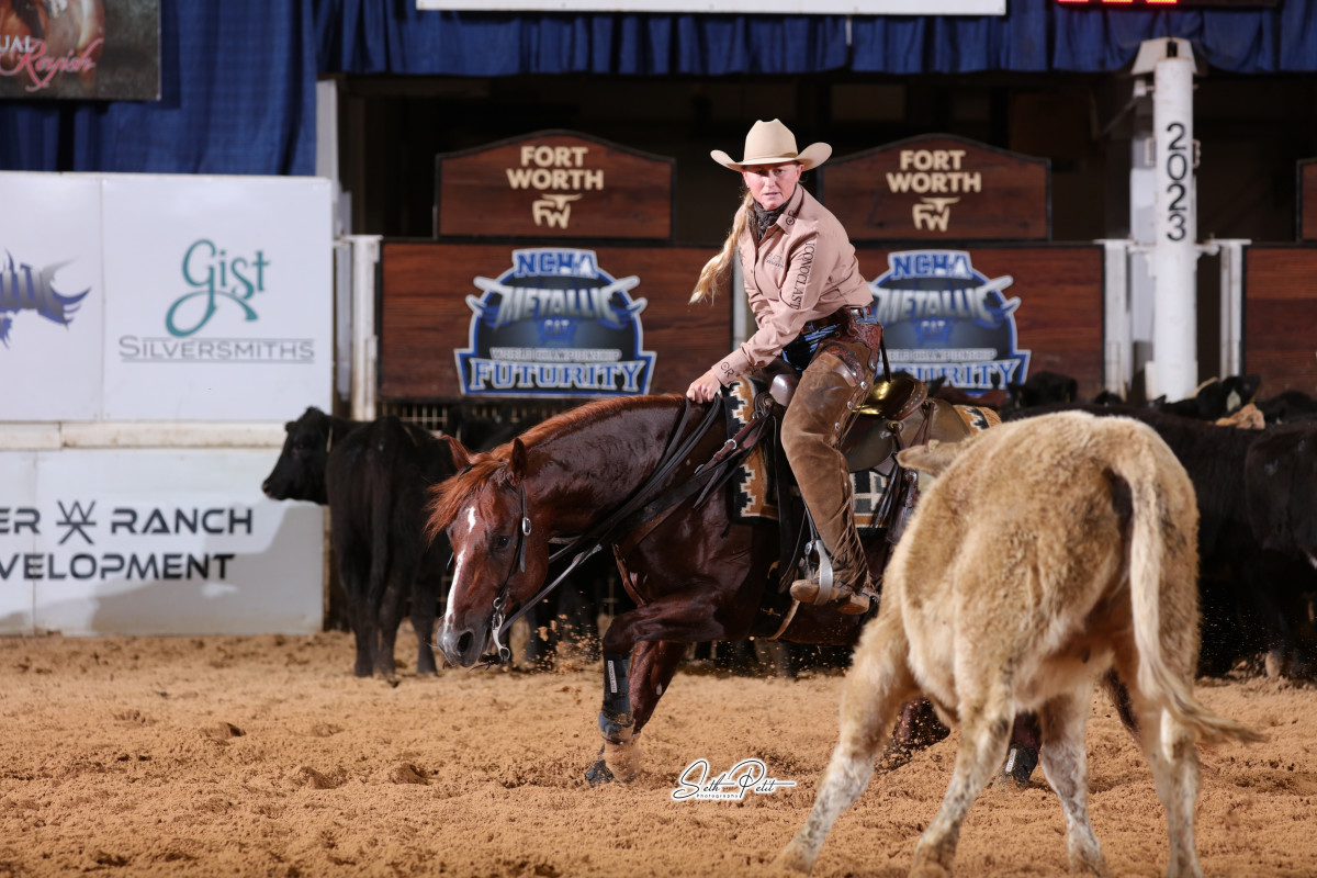 A Cut Above: NCHA Cutting Horses Set to Captivate the American ...