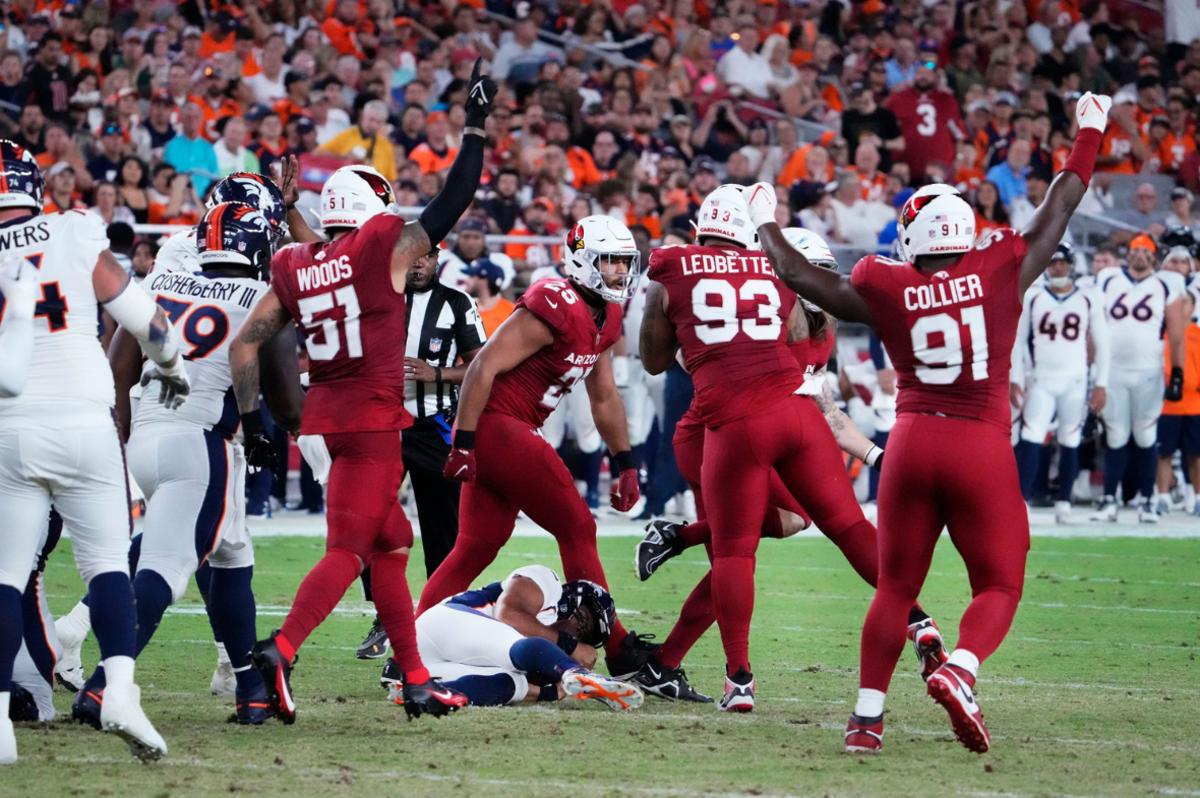 Marco Wilson's Development Paying Dividends for Arizona Cardinals - Sports  Illustrated Arizona Cardinals News, Analysis and More