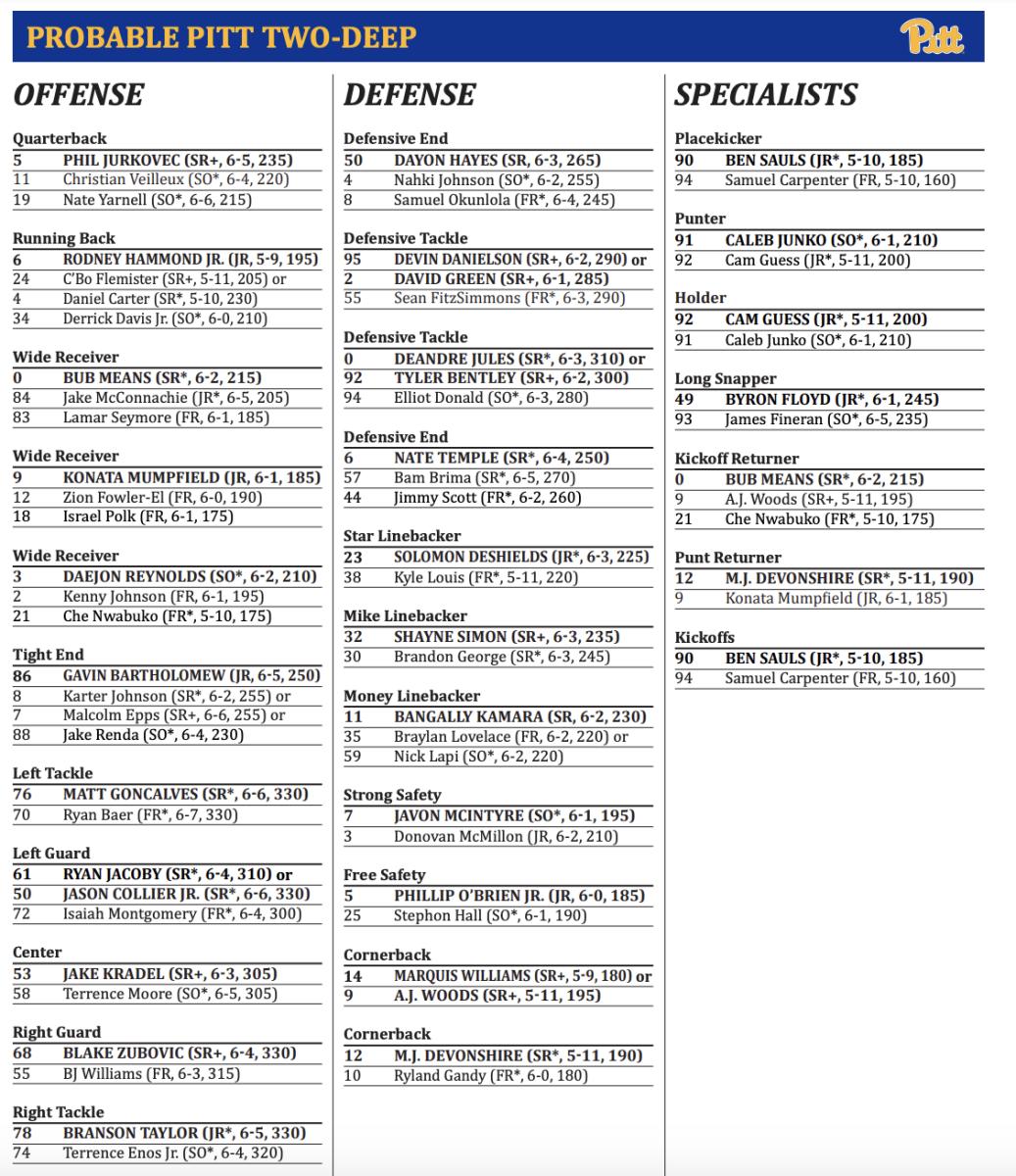 Panthers release first depth chart of 2023