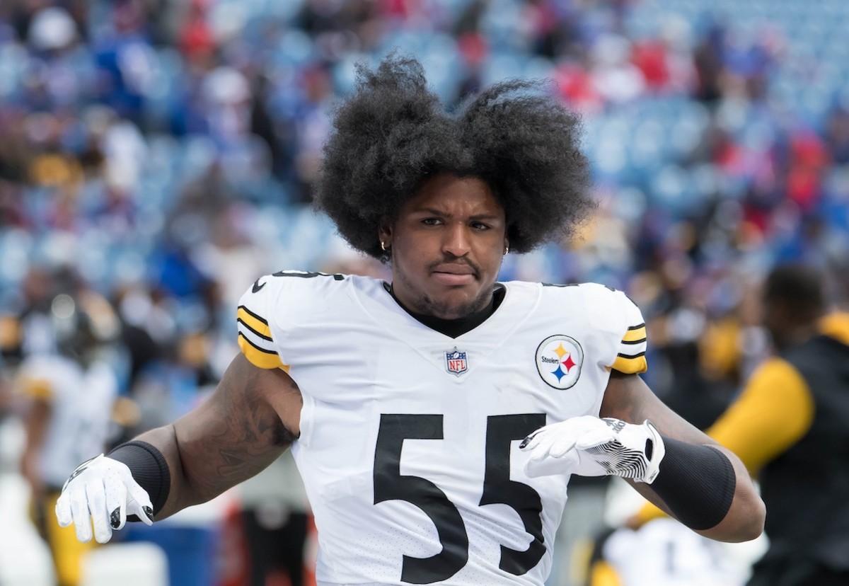 Devin Bush 'Will Be Looking For A Change Of Scenery' In Free Agency,  Labriola Thinks - Steelers Depot