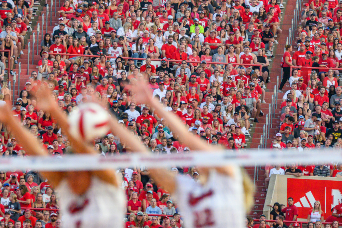 23_fans_Volleyball Day