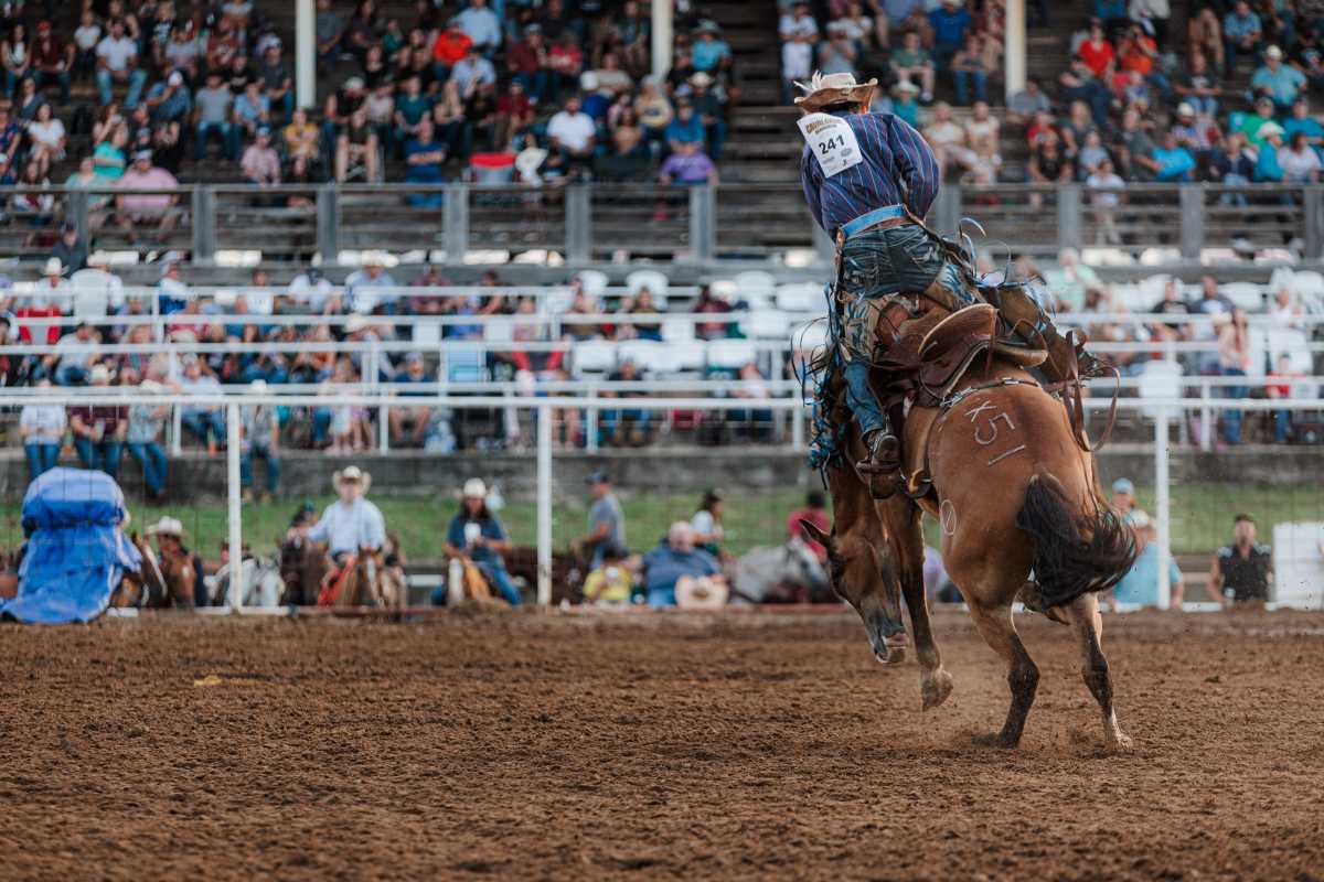 Saddle Bronc Newcomer Ryder Sanford Scores Big Win At Washington State