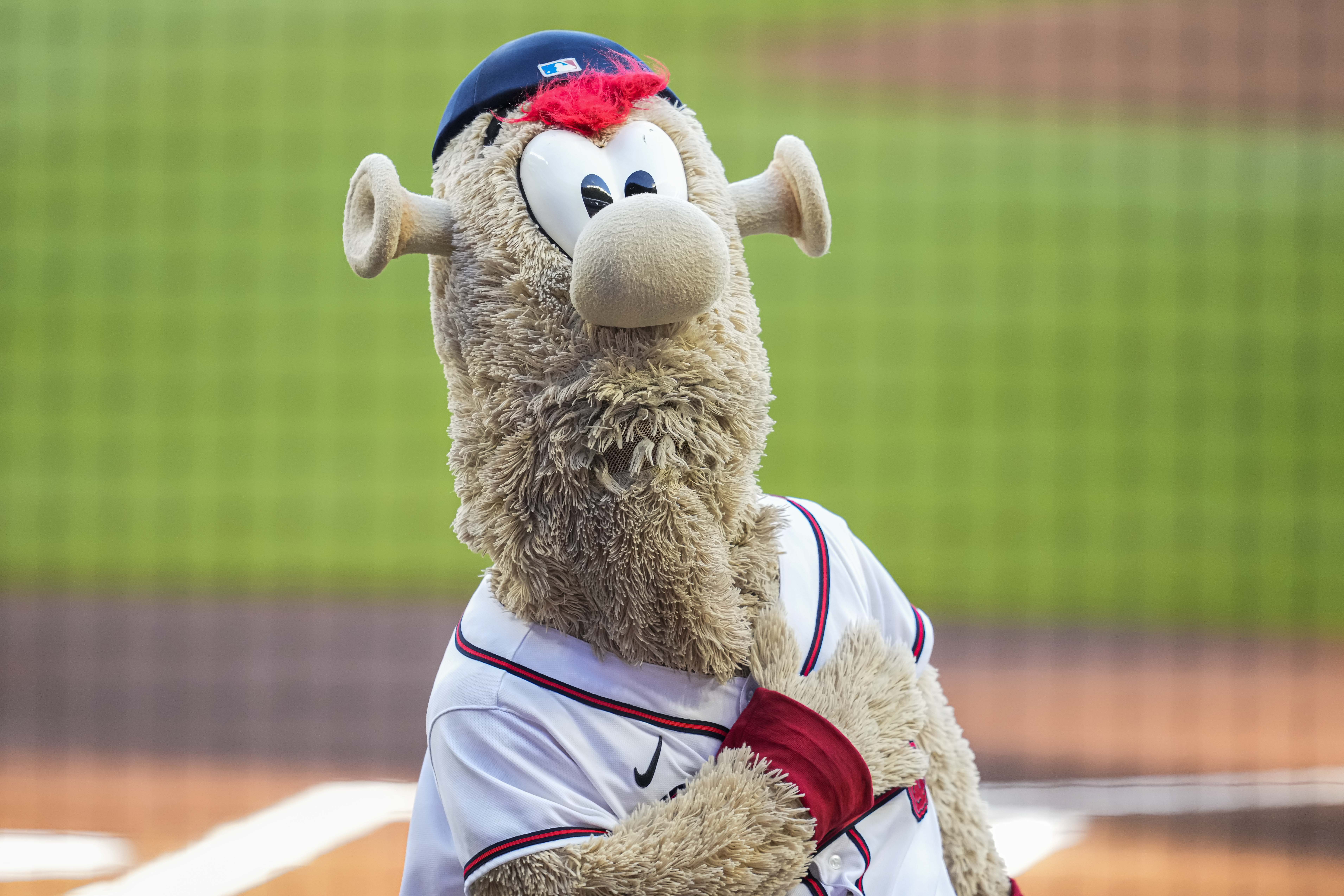 Atlanta Braves Mascot World Series, Who, what is Blooper?