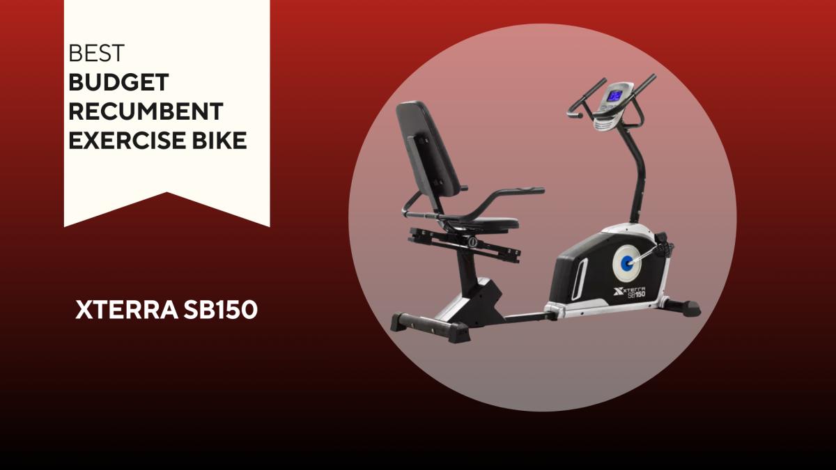 The 10 Best Recumbent Exercise Bikes of 2024 - Sports Illustrated