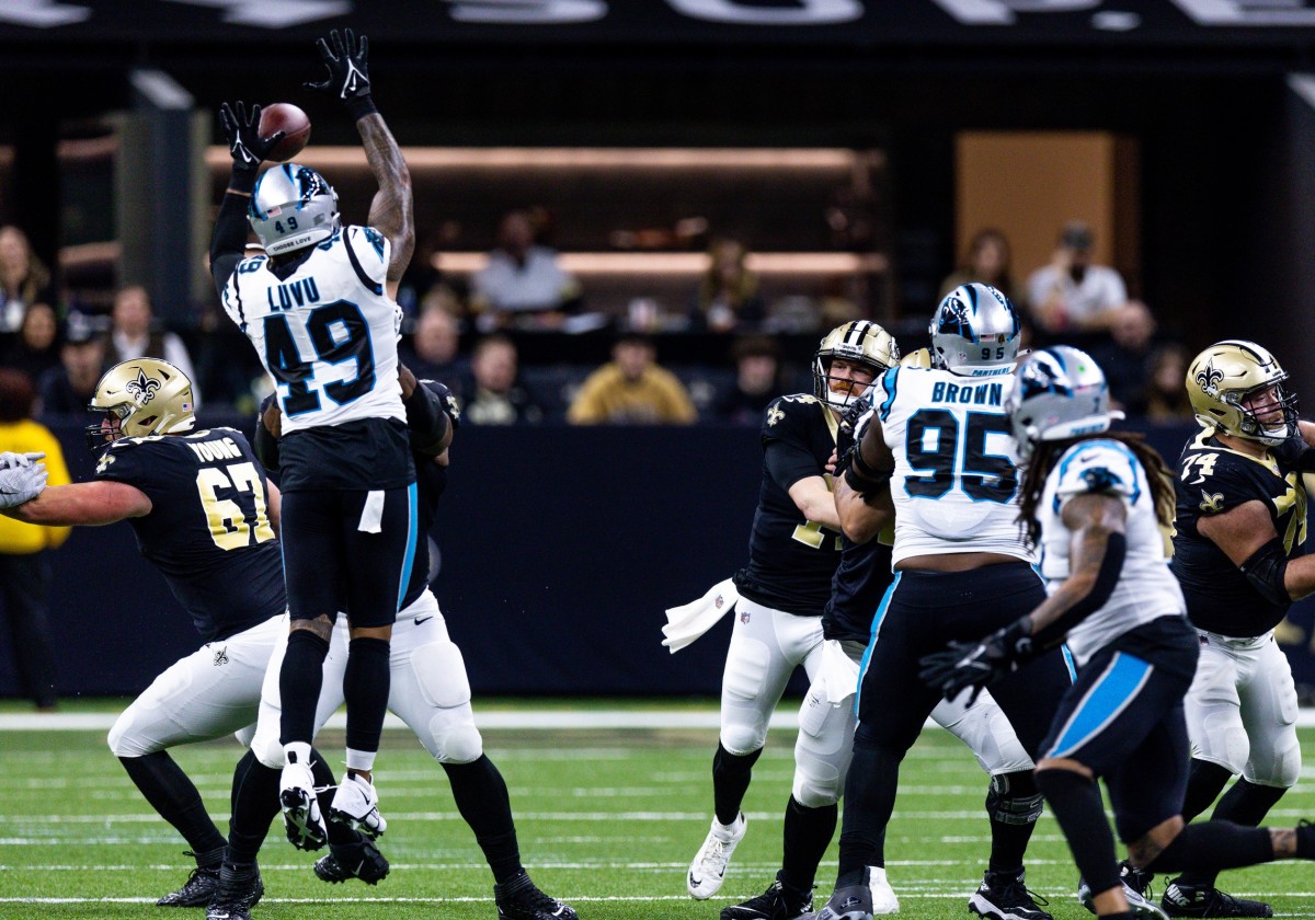 Carolina Panthers linebacker Frankie Luvu (49) looks on during an