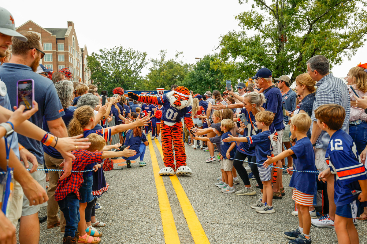 Aubie Tiger Walk