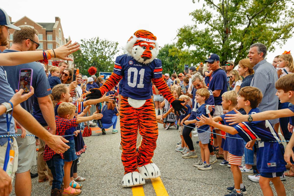 Aubie Tiger Walk