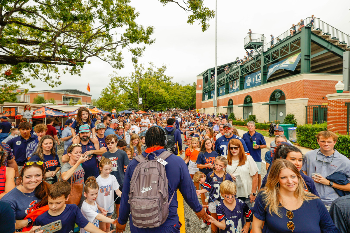 Tiger Walk